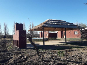 Cabañas rodeada de viñedos con piscina